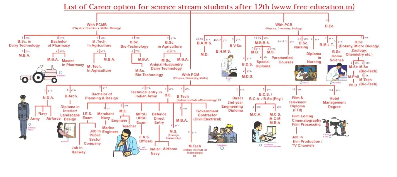 Career option For Science Students