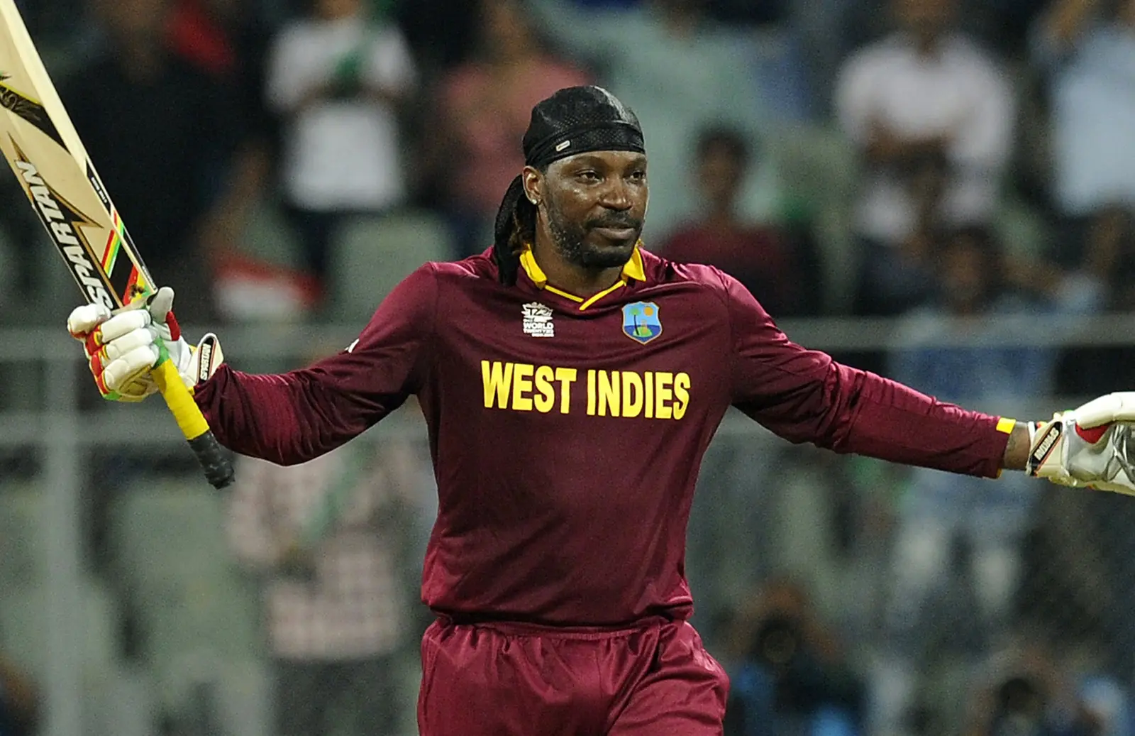 Most Amazing Facts About Cricket