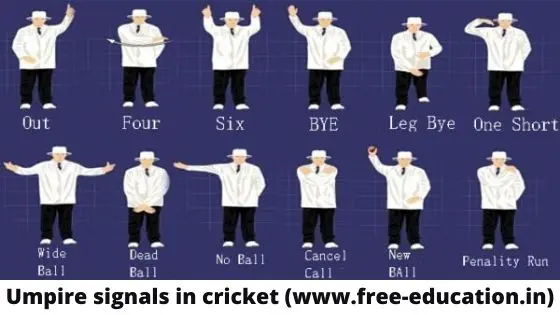 umpires signal size