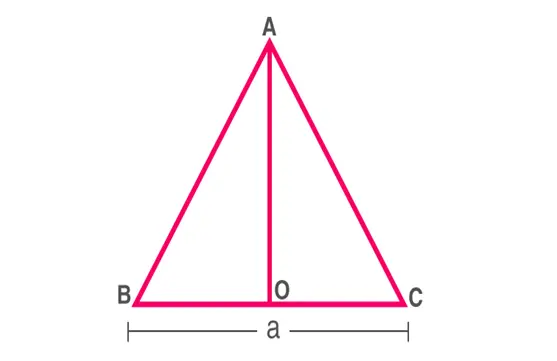 Class 9th Maths ncert solution