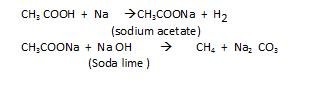 Hydrocarbons Notes and Solution Class 11 Chemistry