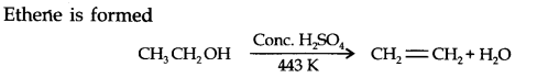 Hydrocarbons Notes and Solution Class 11 Chemistry