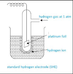 Redox Reactions Class 11th Chemistry Notes and NCERT Solution