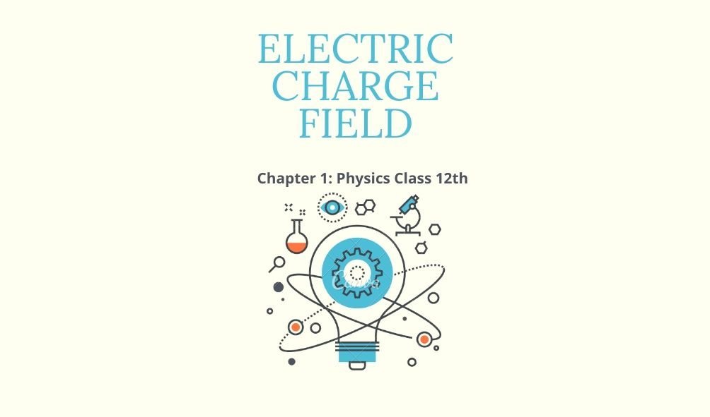 Electric Charge Fields