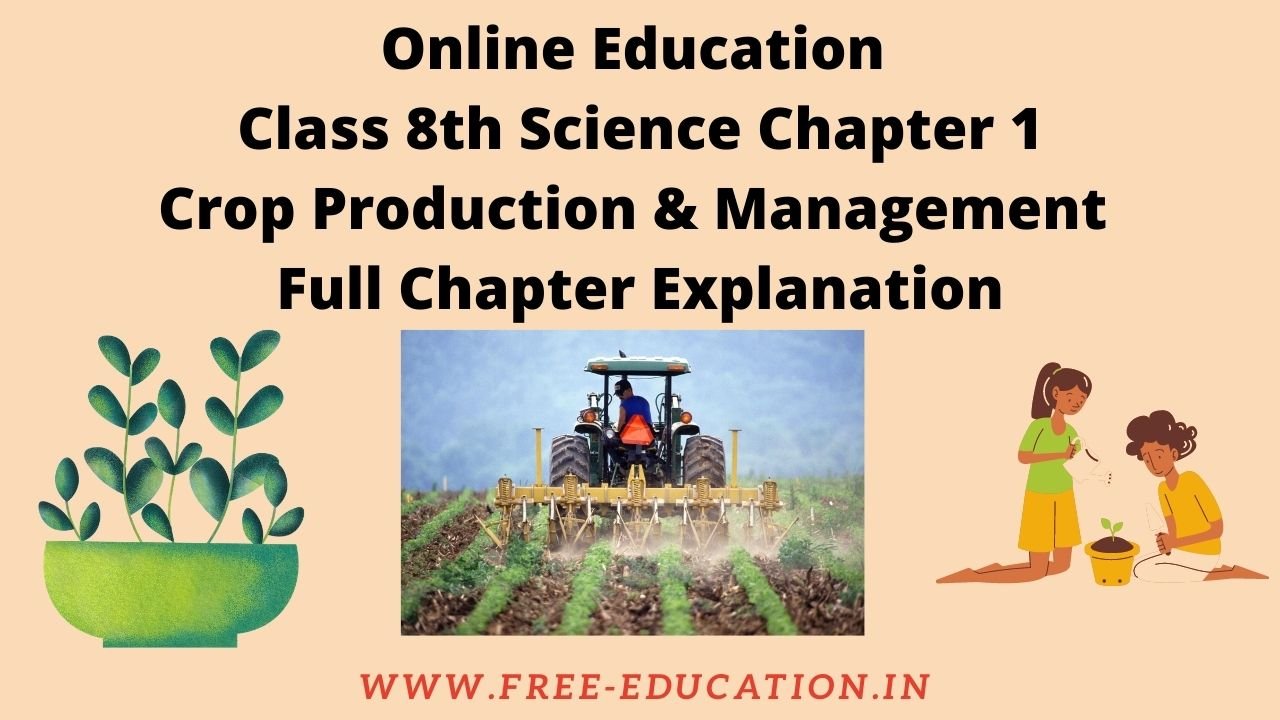 assignment on crop production and management